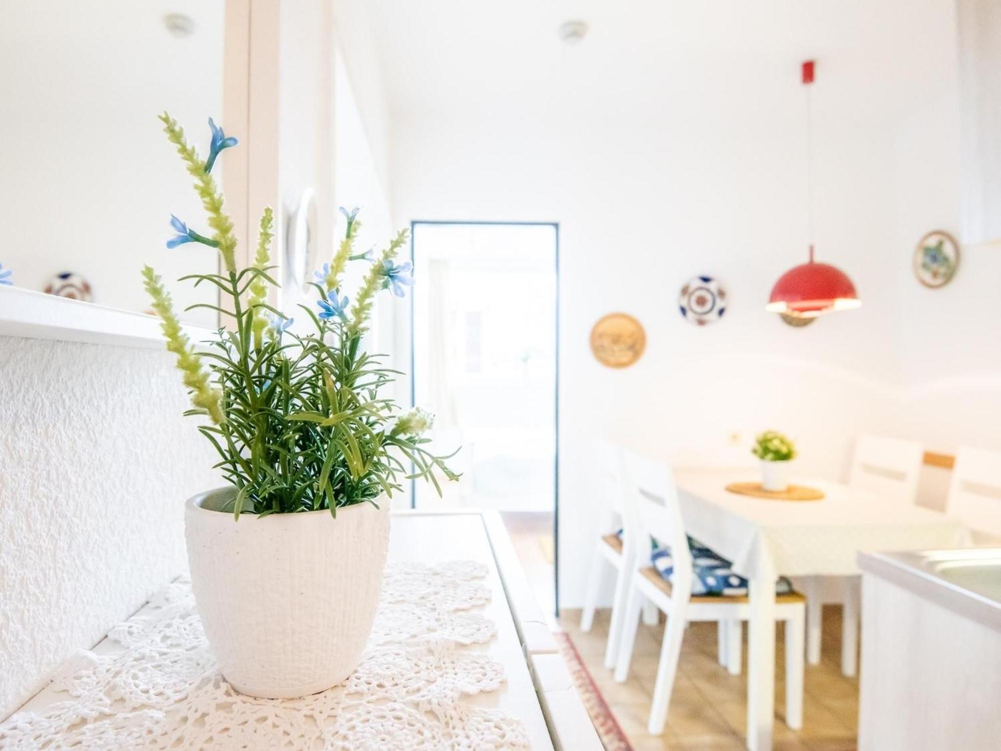 Haus Meeresblick Wohnung 24 Kellenhusen Ngoại thất bức ảnh